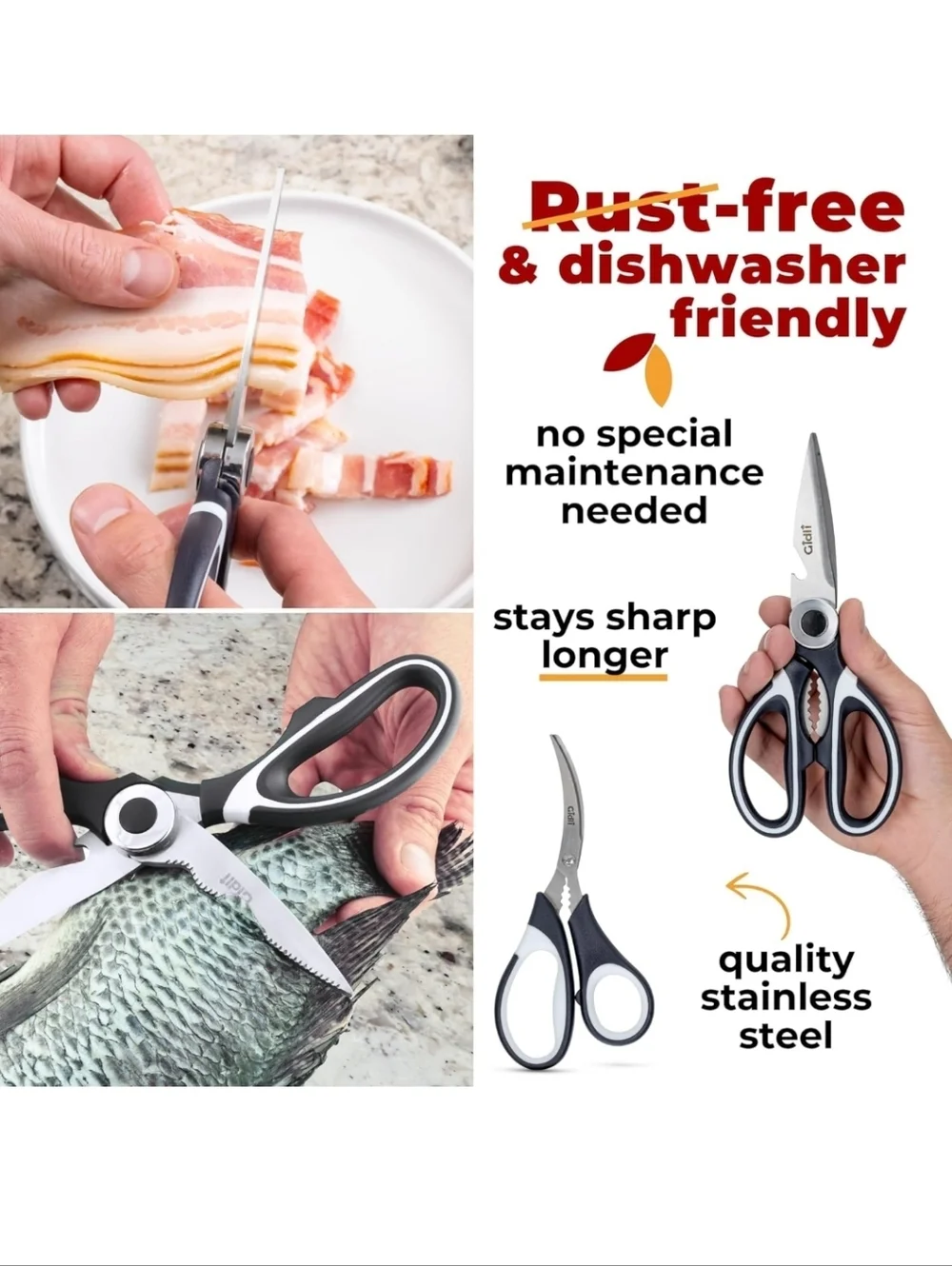 All Purpose Scissors